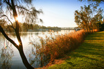 Sunrise over the Murray River at Mildura, Victoria