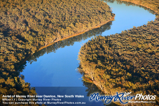 Aerial of Murray River near Dareton, New South Wales