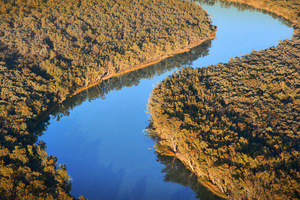 Aerial of Murray River near Dareton, New South Wales