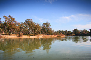 Down river from Mildura, Victoria