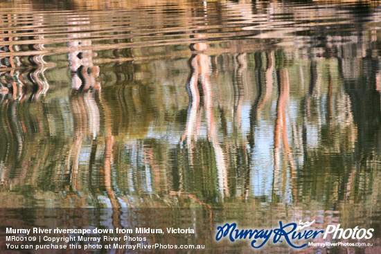 Murray River riverscape down from Mildura, Victoria