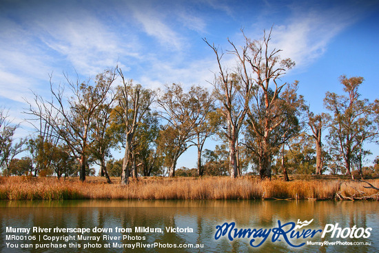 Murray River riverscape down from Mildura, Victoria
