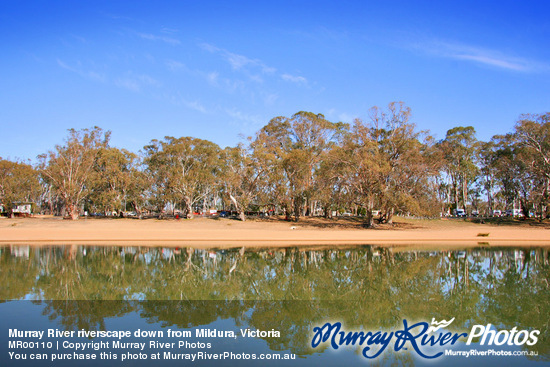 Murray River riverscape down from Mildura, Victoria