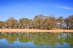 Murray River riverscape down from Mildura, Victoria