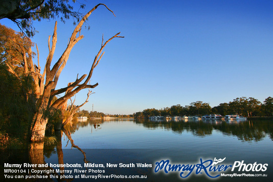 Murray River and houseboats, Mildura, New South Wales