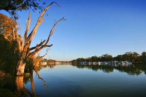 Murray River and houseboats, Mildura, New South Wales