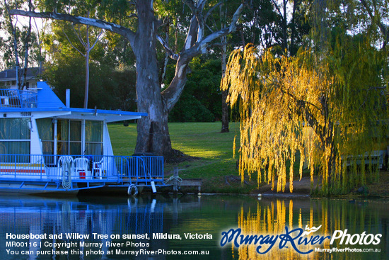 Houseboat and Willow Tree on sunset, Mildura, Victoria