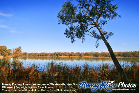 Murray-Darling Rivers convergence, Wentworth, New South Wales