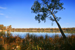 Murray-Darling Rivers convergence, Wentworth, New South Wales