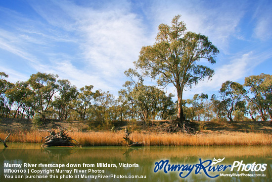 Murray River riverscape down from Mildura, Victoria