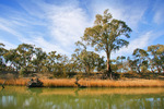 Murray River riverscape down from Mildura, Victoria