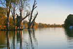 Sun setting on the Murray River, Mildura, Victoria