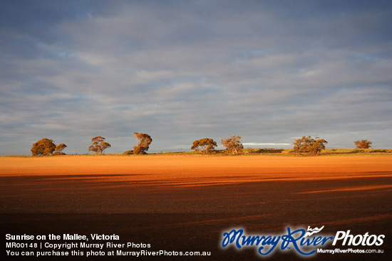 Sunrise on the Mallee, Victoria