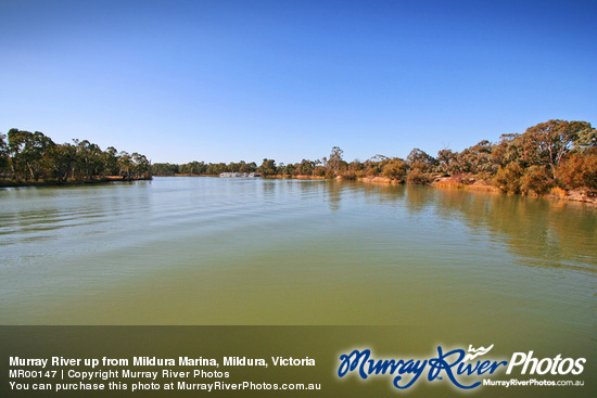 Murray River up from Mildura Marina, Mildura, Victoria