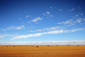 Mallee farmland, Victoria