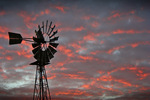 Local windmill at Pinnaroo on sunrise, South Australia