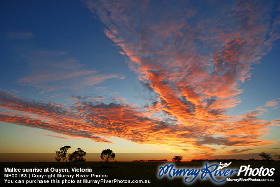 Mallee sunrise at Ouyen, Victoria
