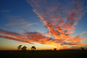Mallee sunrise at Ouyen, Victoria
