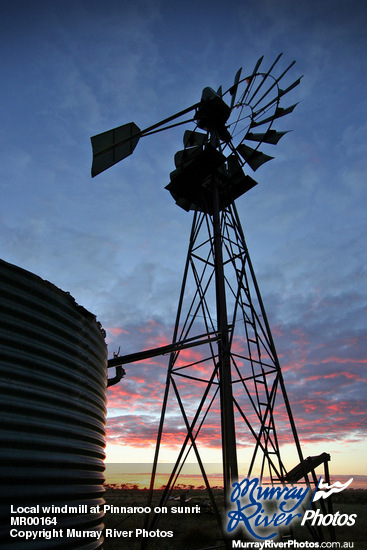 Local windmill at Pinnaroo on sunrise, South Australia