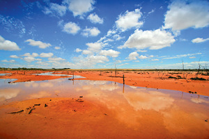 Mallee after rains, Victoria