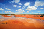 Mallee after rains, Victoria