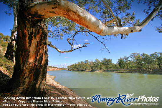 Looking down river from Lock 15, Euston, New South Wales