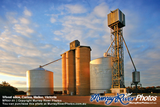 Wheat silos, Carina, Mallee, Victoria