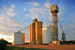 Wheat silos, Carina, Mallee, Victoria