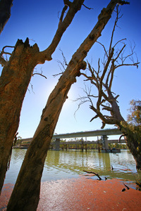 Old and new bridge, Robinvale, Victoria