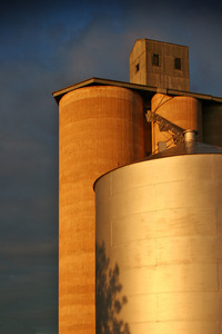 Wheat silos, Carina, Mallee, Victoria