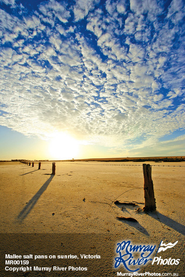 Mallee salt pans on sunrise, Victoria