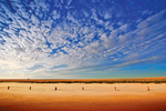 Mallee salt pans on sunrise, Victoria