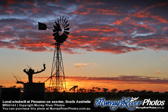 Local windmill at Pinnaroo on sunrise, South Australia