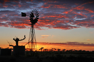 Local windmill at Pinnaroo on sunrise, South Australia