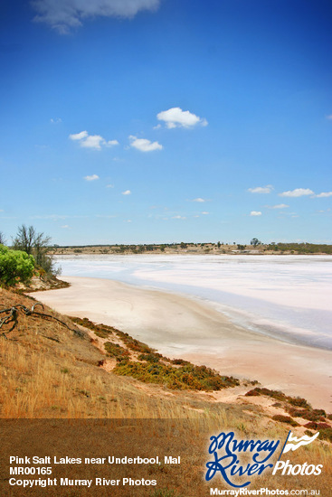 Pink Salt Lakes near Underbool, Mallee, Victoria