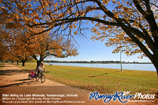 Bike riding by Lake Mulwala, Yarrawonga, Victoria