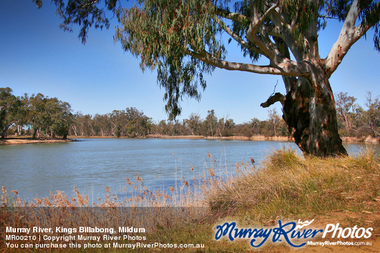 Murray River, Kings Billabong, Mildura