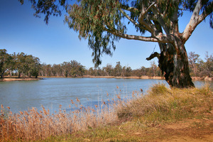 Murray River, Kings Billabong, Mildura