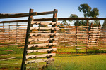 Grape drying racks, Merbein, Victoria