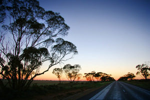 Sunrise in the Mallee, South Australia