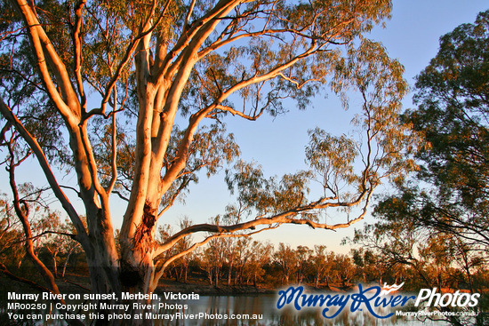 Murray River on sunset, Merbein, Victoria