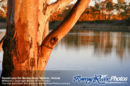 Sunset over the Murray River, Merbein, Victoria