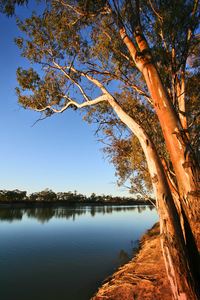 Sunset over the Murray River, Merbein, Victoria