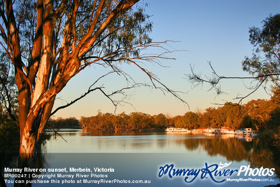 Murray River on sunset, Merbein, Victoria