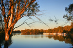 Murray River on sunset, Merbein, Victoria