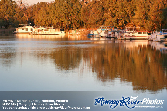 Murray River on sunset, Merbein, Victoria