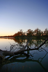 Murray River on sunset, Merbein, Victoria