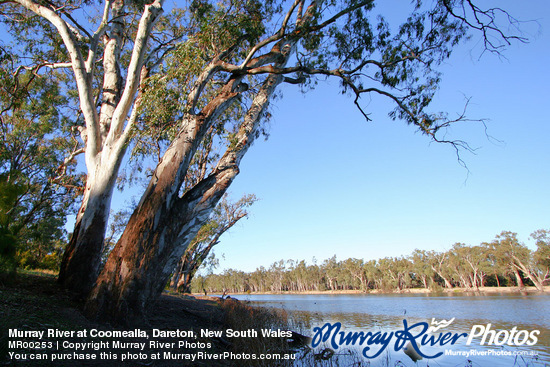 Murray River at Coomealla, Dareton, New South Wales