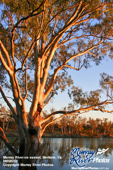 Murray River on sunset, Merbein, Victoria