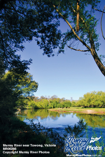 Murray River near Towong, Victoria